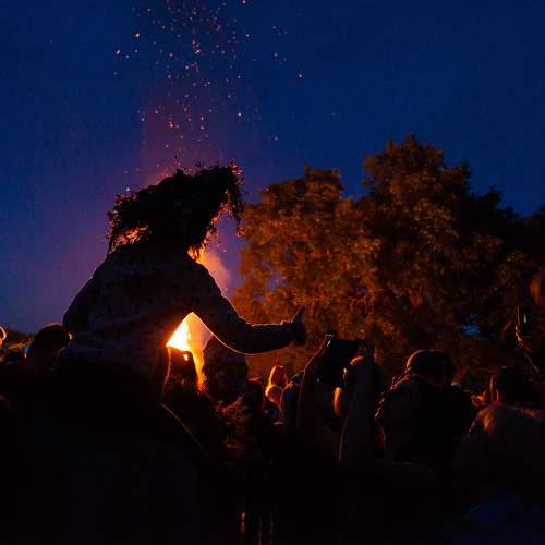 Photo #7301706