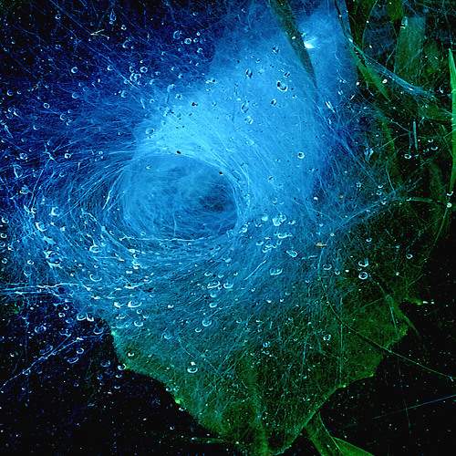 Photo #7301773