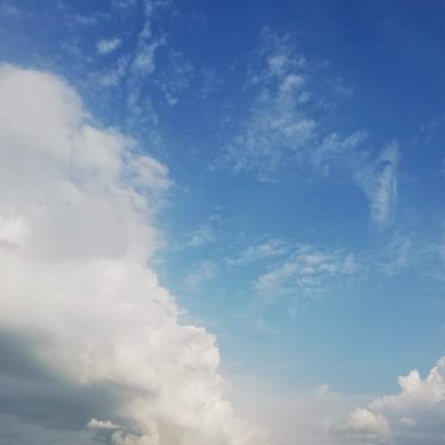 Photo #7301965