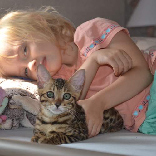 Photo #7302179