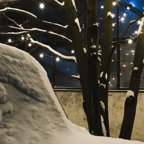 Photo #7302373