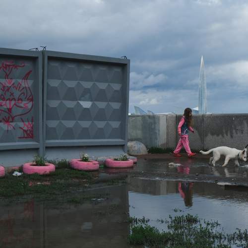 Photo #7302414