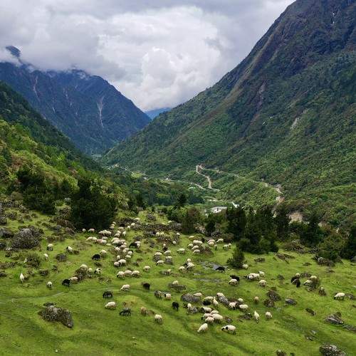 Photo #7302467