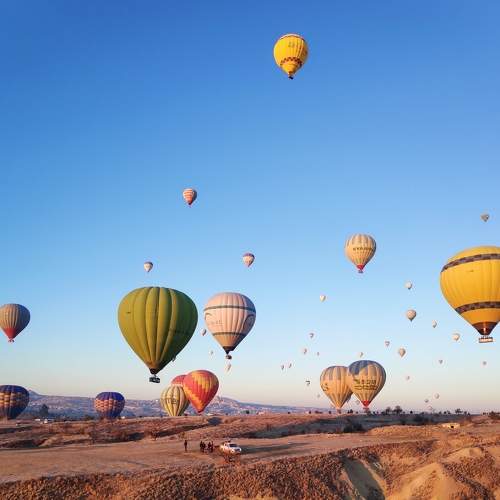 Photo #7302468