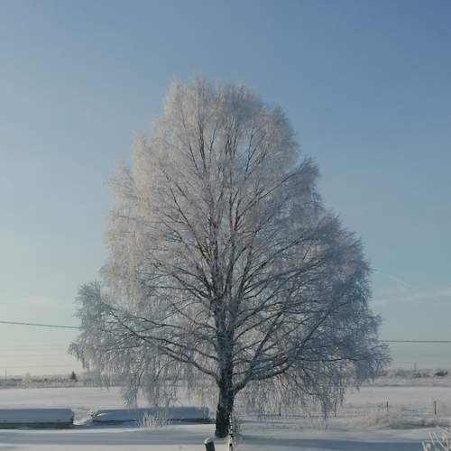 Photo #7302493