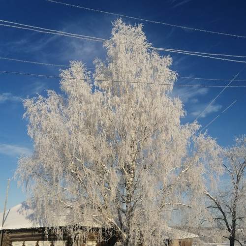 Photo #7302494