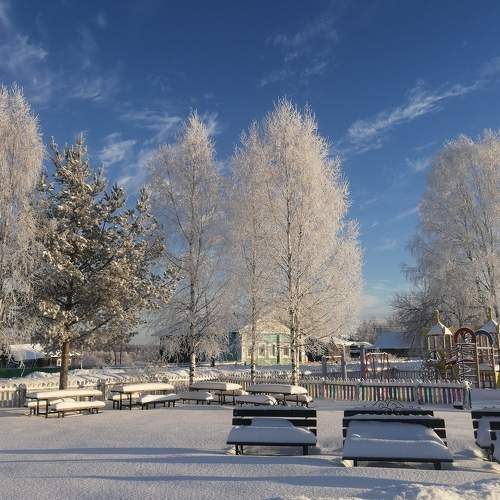 Photo #7302495