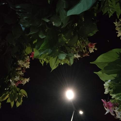 Photo #7302872