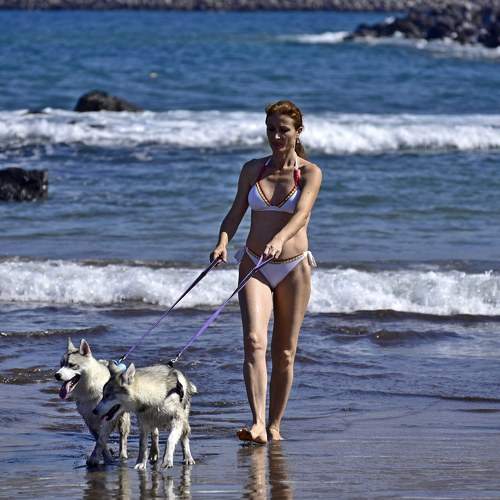 Фотография #7302989