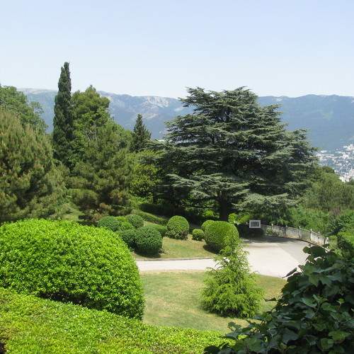 Photo #7303014