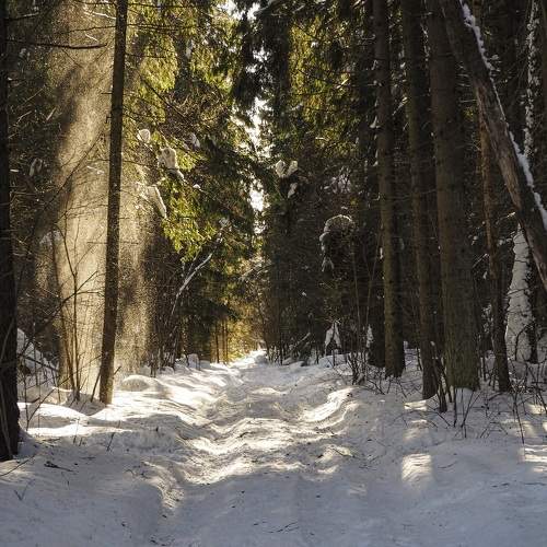 Photo #7303366
