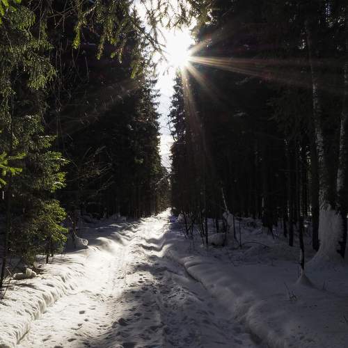 Photo #7303391
