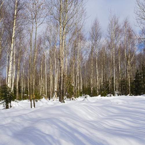 Photo #7303428
