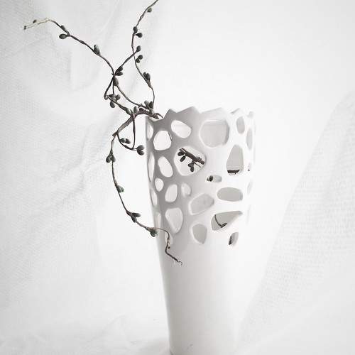 Photo #7303686