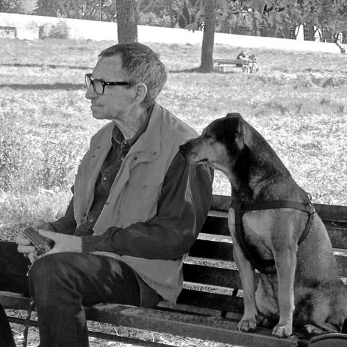 Photo #7303719