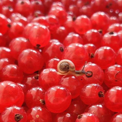 Photo #7303727