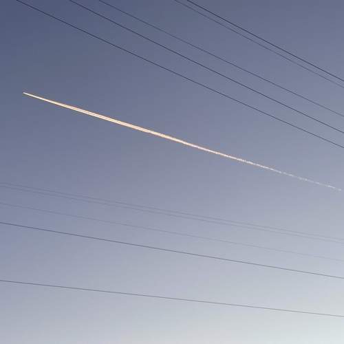 Photo #7303750