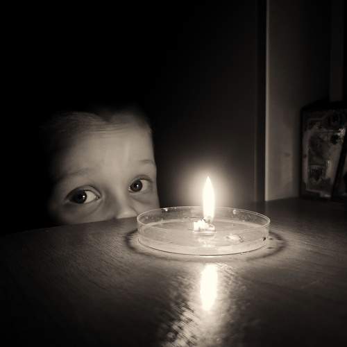 Photo #7304029