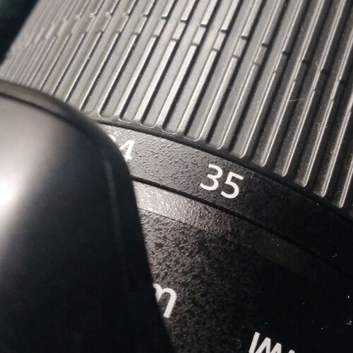 Photo #7304059
