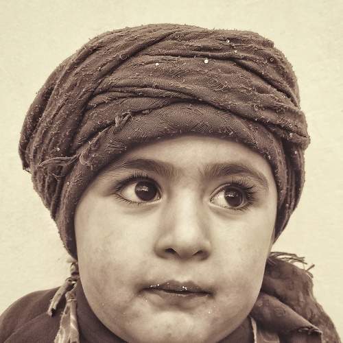 Photo #7304094