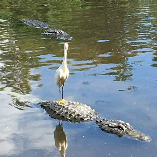Photo #7304509