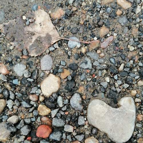 Photo #7304526