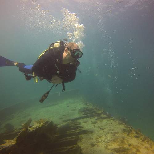 Photo #7304787