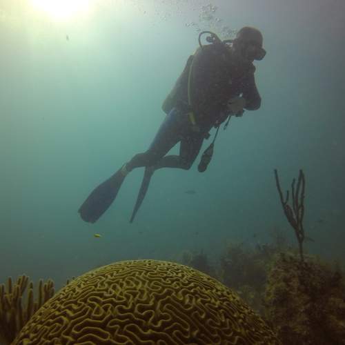 Photo #7304790