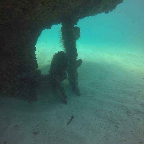 Photo #7304791