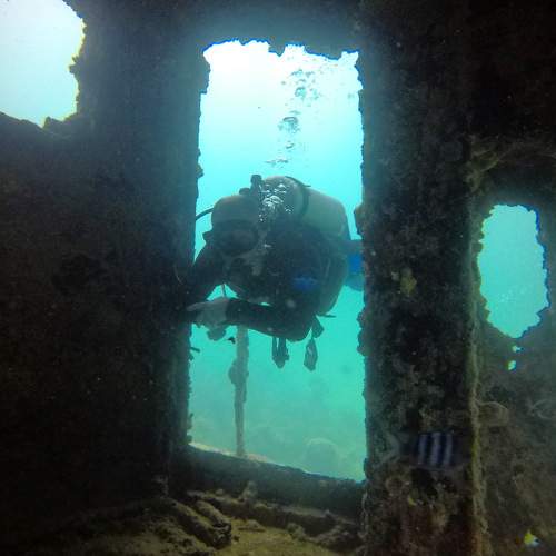 Photo #7304792
