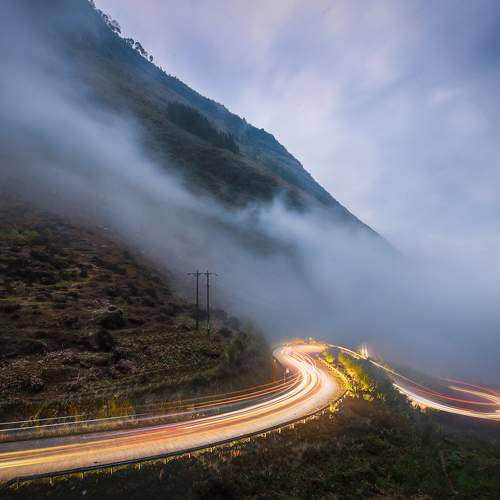 Photo #7304795