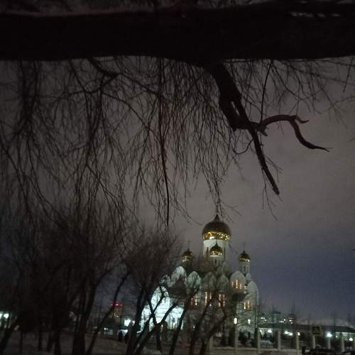 Photo #7305115