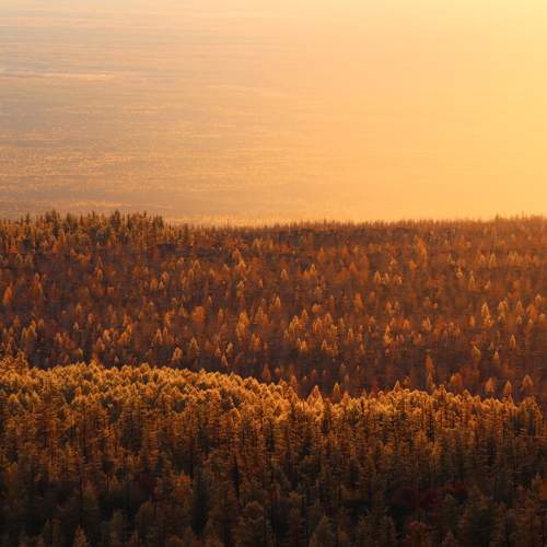 Photo #7305209