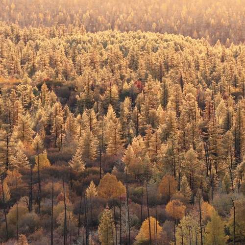 Photo #7305229