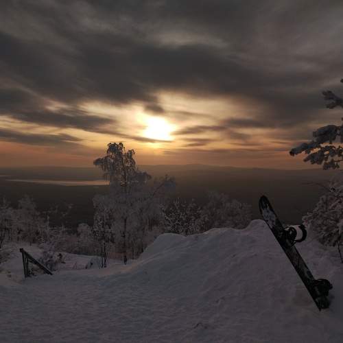 Photo #7305287