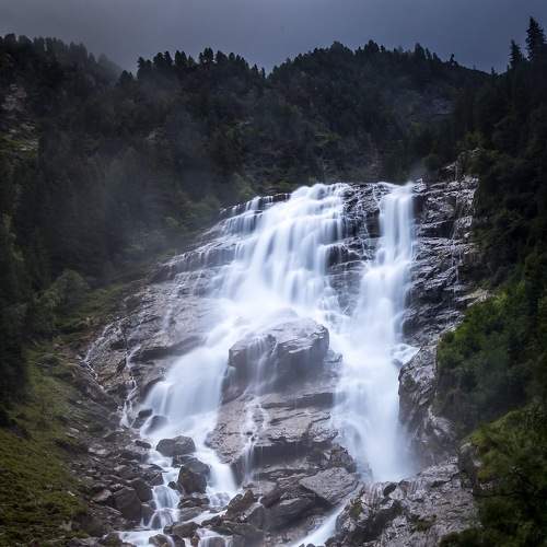 Photo #7305467
