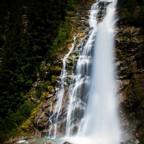 Photo #7305472