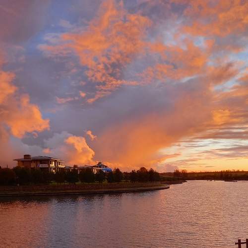 Photo #7305509