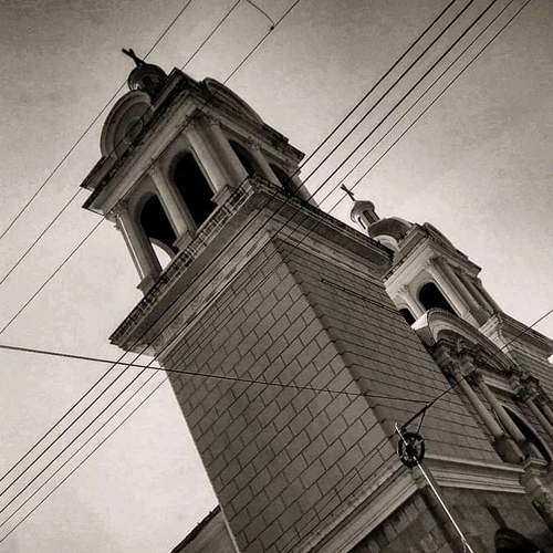 Photo #7305708
