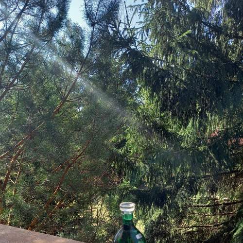 Photo #7305781