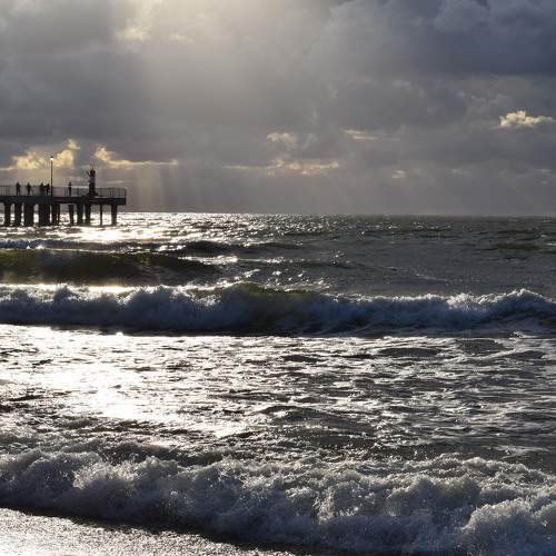 Photo #7306017
