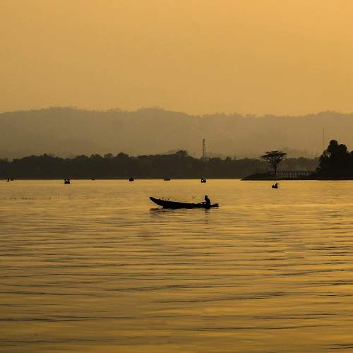 Photo #7306043