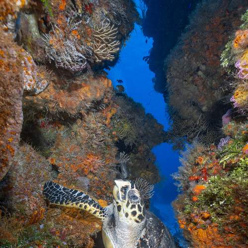 Photo #7306090