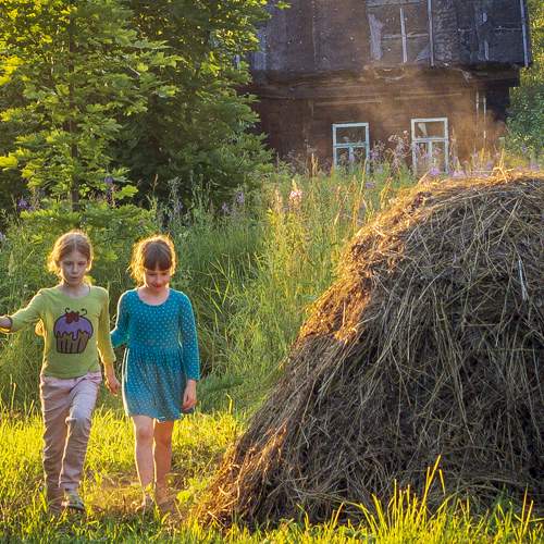 Photo #7306548