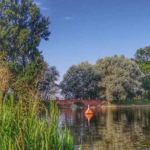 Photo #7306554