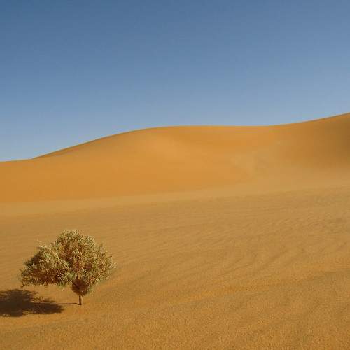 Photo #7306688
