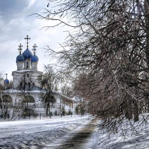 Photo #7306737