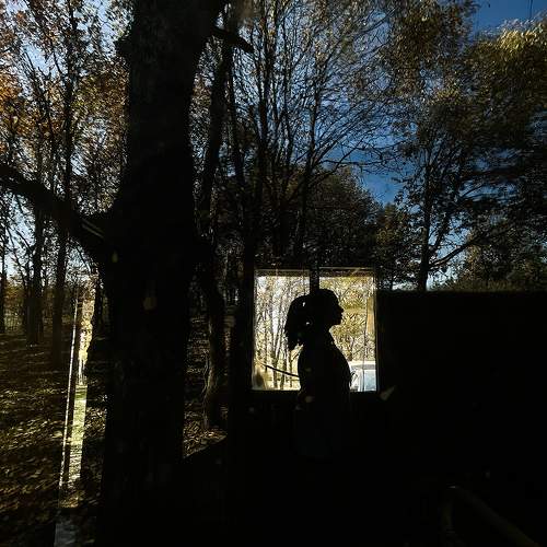 Photo #7306794