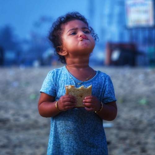 Photo #7306848