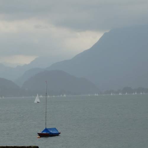 Photo #7306862